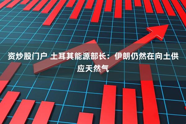 资炒股门户 土耳其能源部长：伊朗仍然在向土供应天然气