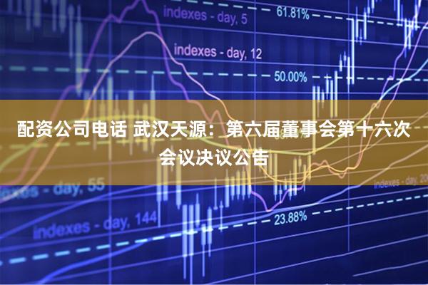 配资公司电话 武汉天源：第六届董事会第十六次会议决议公告