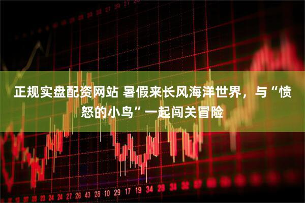 正规实盘配资网站 暑假来长风海洋世界，与“愤怒的小鸟”一起闯关冒险